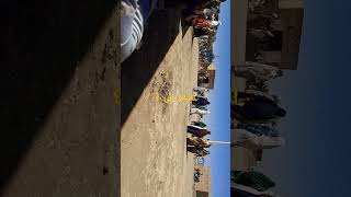 نقارة زغاوة في المناقل