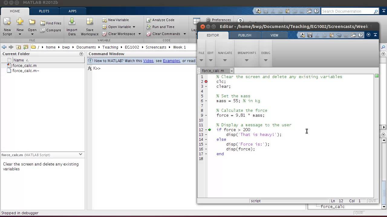 Week 3 - Part 6: If Statements - YouTube