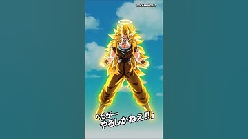 AGL SSJ3 Angel Goku MAX (220% Leader Skill)