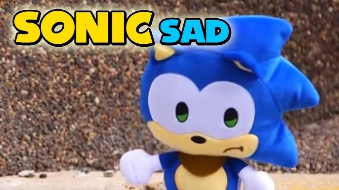 Sonic Meme Park - Esta cosa está bien muerta. - PearlSonic.