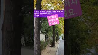 이제 이렇게 살면 되지않을까요? #성공확언62#긍정확언 #디톡여왕 #shorts