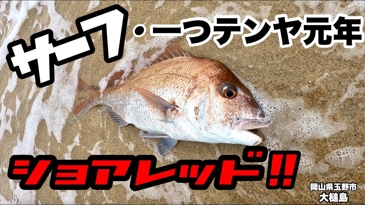 サーフ 一つテンヤ元年 ガチガチの砂浜から大鯛を狙う 釣り魂neo