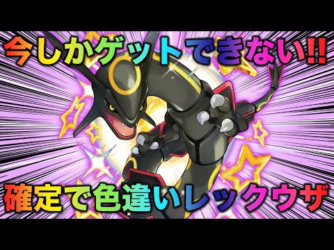 レックウザ　色違い レックウザEX（色違い）
