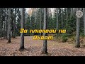 Поход за клюквой на Охват. Место сбора. Болото