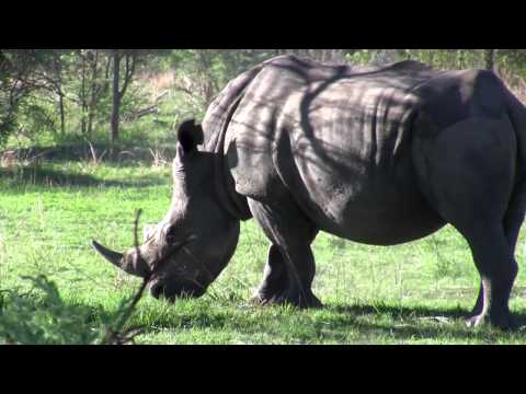 Matopos Zimbabwe +
