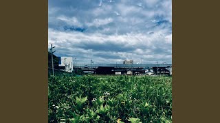 野草