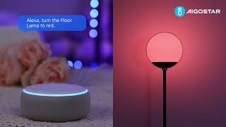 Smart Cloud-effect Floor Lamp 386481（Alexa Connect）EN