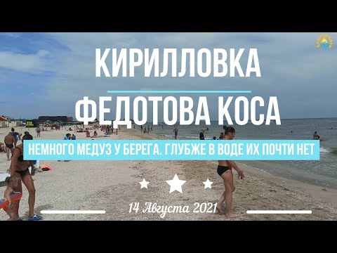 КИРИЛЛОВКА: Федотова Коса. Медуз в воде стало меньше. Есть на пляже. 14 Августа 2021.