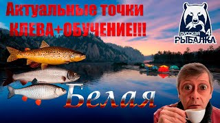 Река Белая. Учимся правильно ловить на спиннинг. Русская рыбалка 4