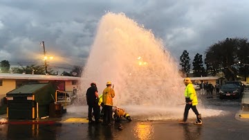 LAFD Light Force 64: Sheard Hydrant / South Los Angeles