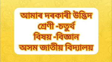 class -4//science//আমাৰ দৰকাৰী উদ্ভিদ//#jatiyabidyalaya #class4science