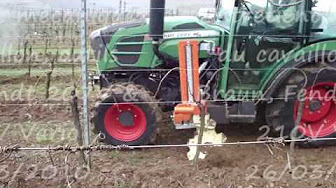 Trincino interfilare