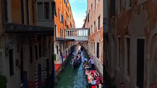 Сколько стоит прокатиться на гондоле в Венеции? Днем   80€ Вечером  100€  Цена за полчаса!!!