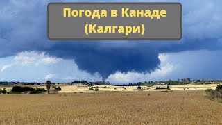 Погода в Канаде (Калгари)