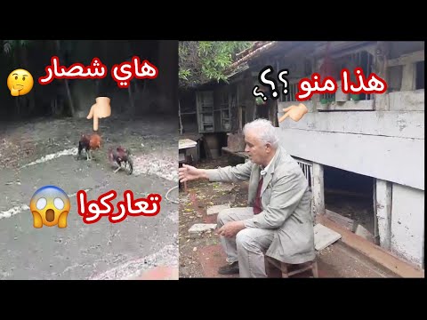 زرت جناي تركي تعالوا شوفوا شصار فك ديج