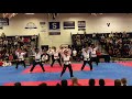 Taekwondo martial arts demonstration