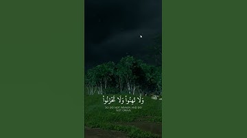 ولا تهنوا ولا تحزنوا #قران_كريم #ياسر_الدوسري #سورة_آل_عمران #راحة_نفسية