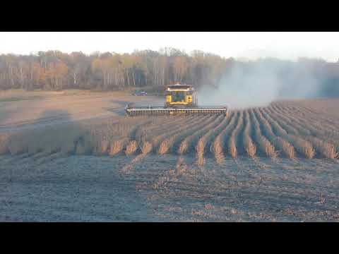 New Holland flex
