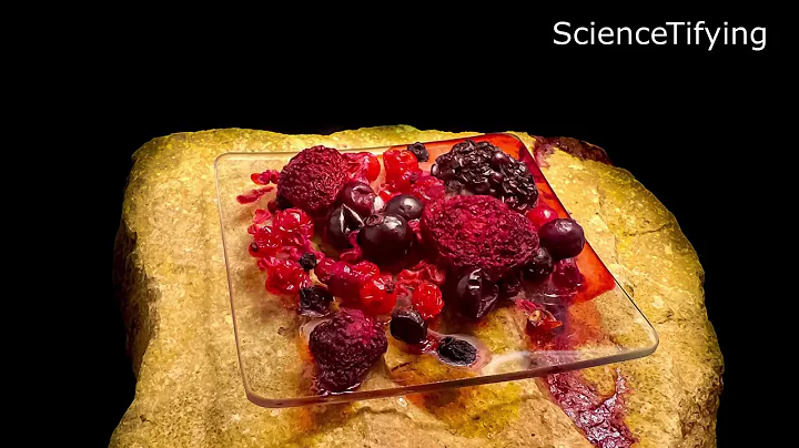 Frozen Forrest Fruits TimeLapse 🍓🍓🍓
