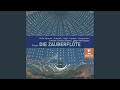 Miniature de la vidéo de la chanson Die Zauberflöte, K. 620: Act 1. Monolog: Wo Bin Ich? (Tamino)