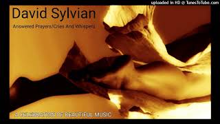 David Sylvian - Answered Prayers, Cries And Whispers (A Celebration Of Beautiful Music)
