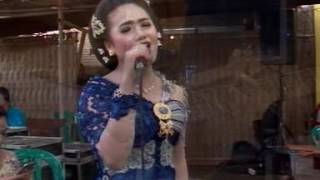 Tangise Sarangan - Campursari SUPRA NADA Live in Asri Rt 17 Gondang Sragen