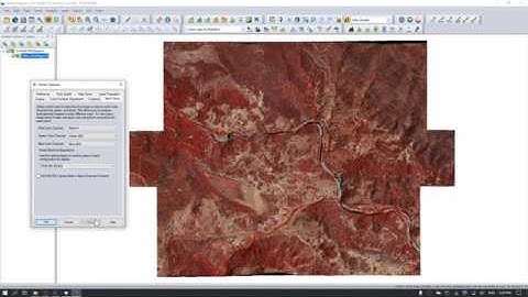 DroneMapper Digital Elevation Model and Multi-Spectral Orthomosaic
