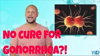 No cure for gonorrhea?