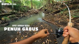 INI LAH SPOT LIAR IDAMAN PARA PEMANCING || CASTING GABUS SUNGAI screenshot 3