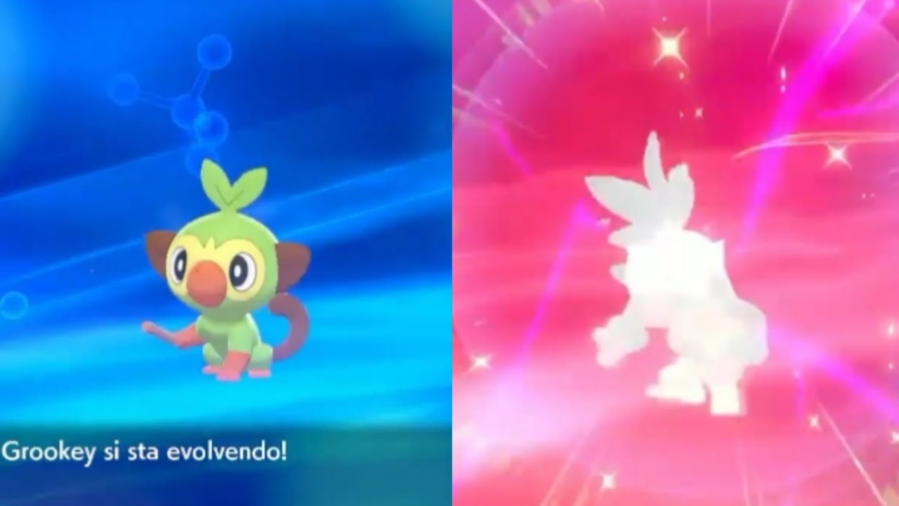 Grookey evolve in Thwackey Pokémon Spada e Scudo YouTube