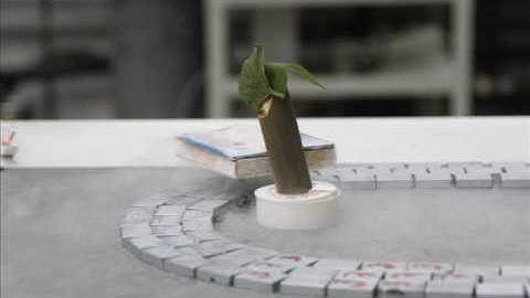 Quantum levitation - Tel-aviv university