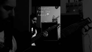 Crypta - From The Ashes - Cover Bass💀