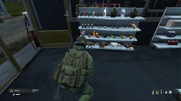 DayZ PS5 Radio Zenit base