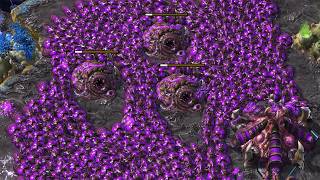 A World Champion Unleashes New M Nydus Strategy