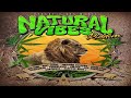 Natural Vibes Riddim {Mix} Reggae Vibes Music  / Jah Cure, Busy Signal, Lutan Fyah, Ginjah an more,