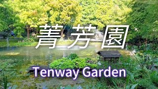 菁芳園 Tenway Garden｜落羽松 生態景觀水池 自然農法菜園 ... 