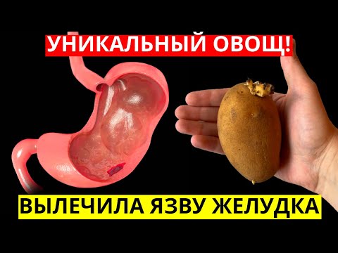 ЭТОТ ОВОЩ ВЫЛЕЧИТ ЯЗВУ ЖЕЛУДКА И ГАСТРИТ ЗА 1 НЕДЕЛЮ!