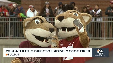 WSU athletic director Anne McCoy fired