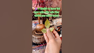 शिवलिंग पर बेलपत्र कैसे चढ़ाना चाहिए पंडित प्रदीप मिश्रा जी/जिसे बाबा स्वीकार करते हैं #mahadev