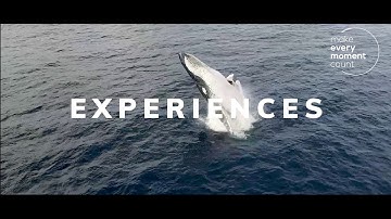 Make every moment count with RedBalloon