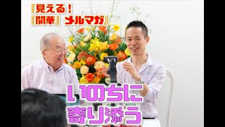 「いのちに寄り添う」【見える！『開華』メルマガ〜量子力学的生き方〜】