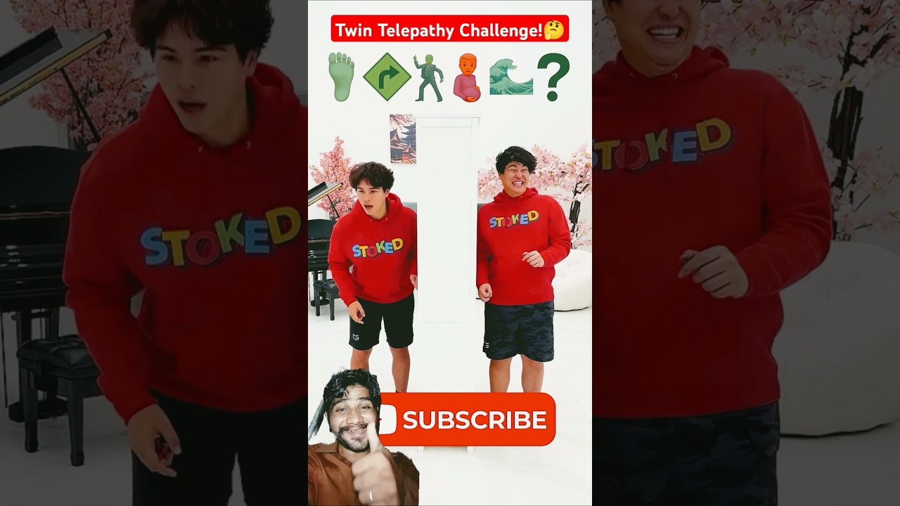 Twin Telepathy Challenge! 