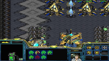 Starcraft 1v7 Computer