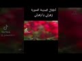 اطفال تلفزيون المدينة انشودة زهرتي يا زهرتي زمان يا فن 