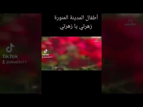 اطفال تلفزيون المدينة انشودة زهرتي يا زهرتي زمان يا فن