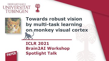 ICLR Workshops 2021: Towards robust vision by multi-task learning on monkey visual cortex