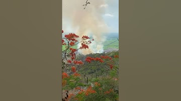 Lại có cháy rừng ở Núi Tô - Tri Tôn