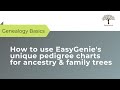 How to use easygenie 4generation pedigree charts for ancestry  family trees