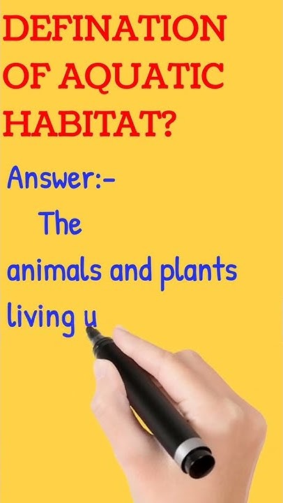 definition-of-aquatic-habitat-shorts-definition-youtube