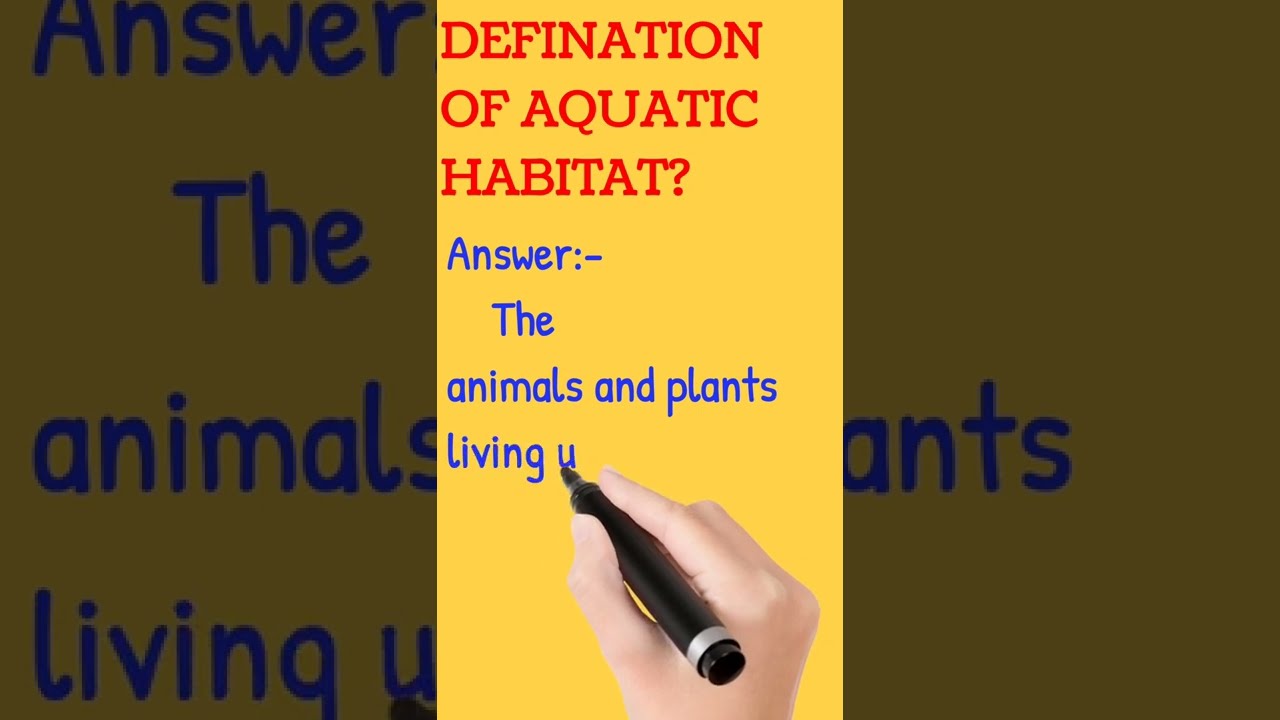 Definition Of Aquatic Habitat shorts definition YouTube Definition Of Aquatic Habitat shorts definition YouTube